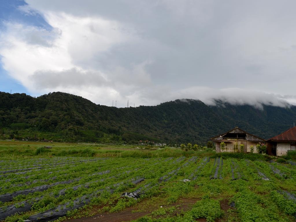 Dajan Buyan Homestay Bedugul  Exterior foto